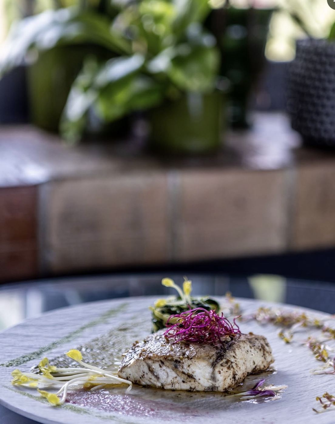 Plated fish dish in soft restaurant light